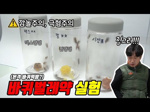 (Eng Sub)[실험영상]바퀴벌레에는 어떤 약이 효과적일까?│클린어벤져스