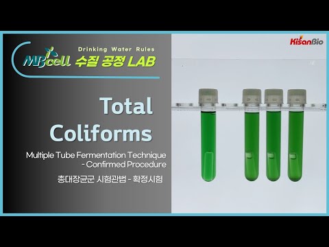 MBcell 먹는물수질공정시험기준 총대장균군-시험관법 확정시험 실험하기 ! (Total Coliforms - Multiple Tube Fermentation Technique)