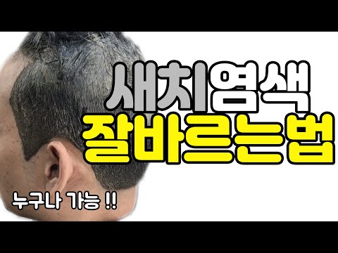 전문가가 알려주는 새치염색 잘바르는법/흰머리염색 바르는법 [HOW TO Cover GRAY HAIR technique]