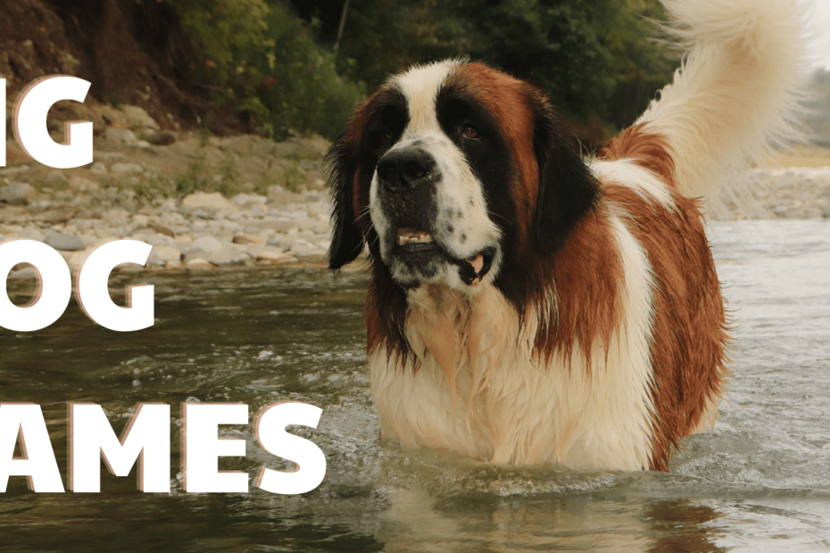 300+ Big Dog Names (With Meanings) - Pethelpful
