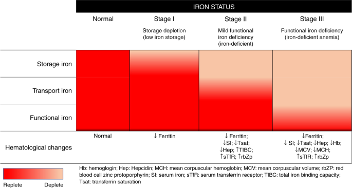 Prevention Of Iron Deficiency Anemia In Infants And Toddlers | Pediatric  Research