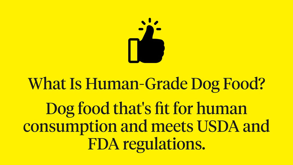 Is Human-Grade Dog Food Better? The Pros & Cons Explained | Dutch