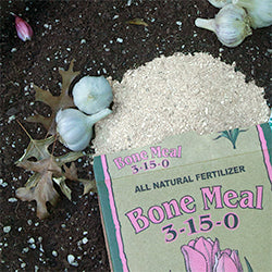 How To Use Fertilizers: Bone Meal - Organic Gardening Blog