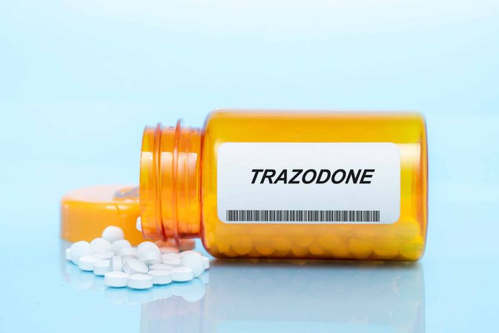 What You Should Know About Trazodone For Dogs – Dogster