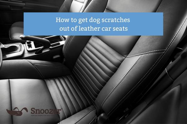 How To Get Dog Scratches Out Of Leather Car Seat