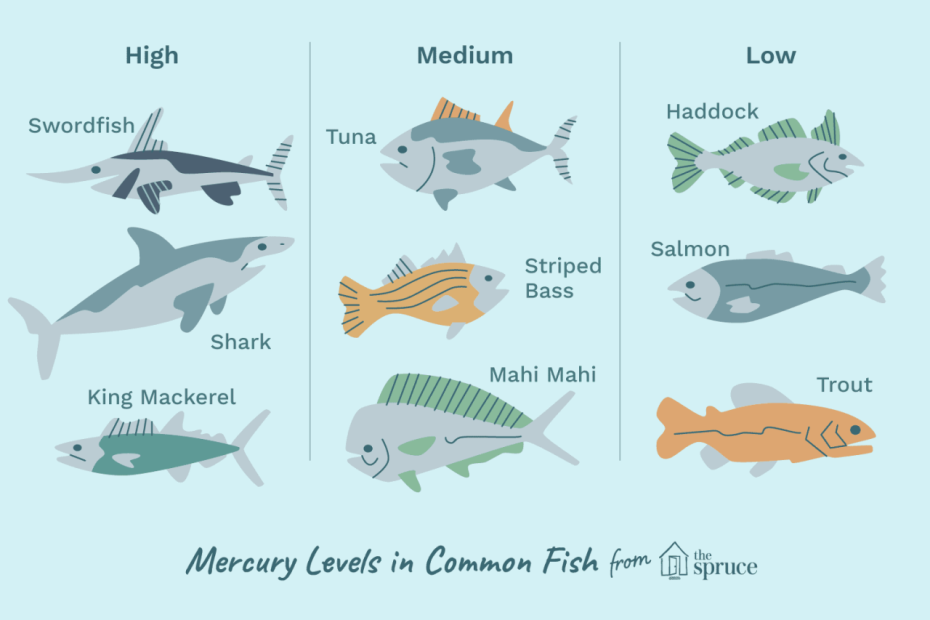 Mercury Levels In Fish And Suggested Servings