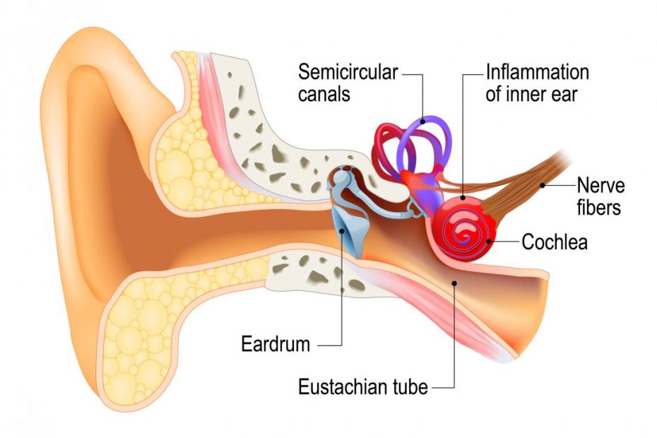 Labyrinthitis: Causes, Symptoms, Treatment, And Recovery