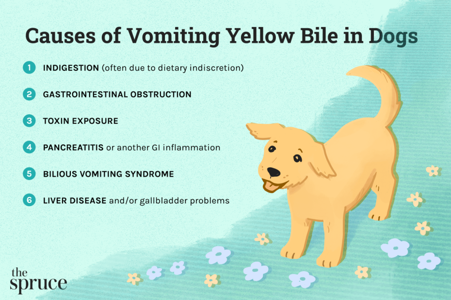 What To Do If Your Dog Is Vomiting Yellow Bile