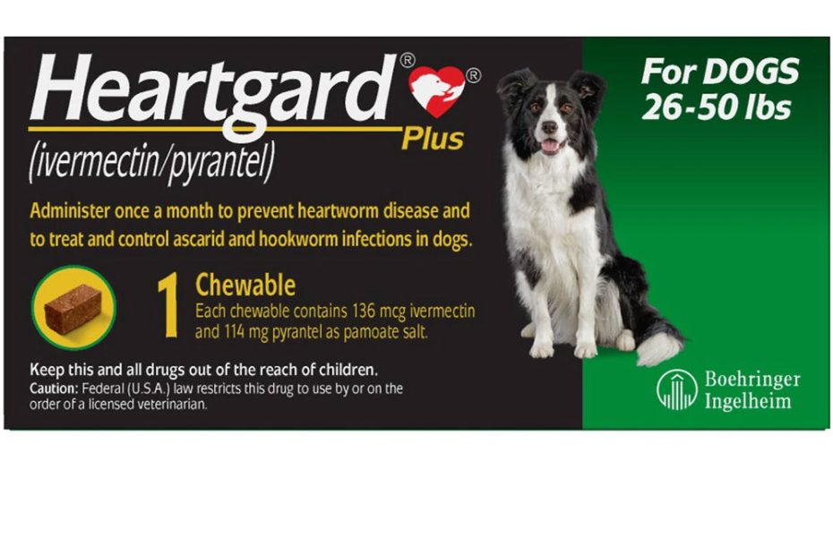 Heartgard Plus Green For Dogs 26-50 Lbs (1 Chew) | Ep Rx