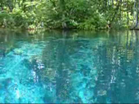 Silver Springs!!! Some Of The Clearest Water In Florida!!! - Youtube