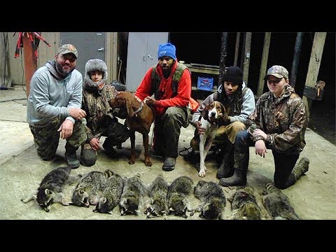 Coon Hunting With The Dogs And Greg Hackney - Youtube