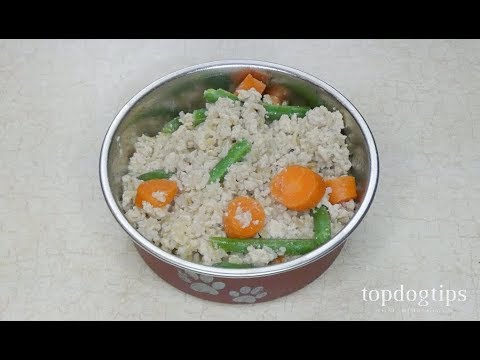 Homemade Food For Diabetic Dogs (Cheap And Easy To Make) - Youtube