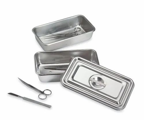 Rectangular Stainless Steel Instrument Tray With Lid, For Hospital, Model  Name/Number: Pe-Ssit