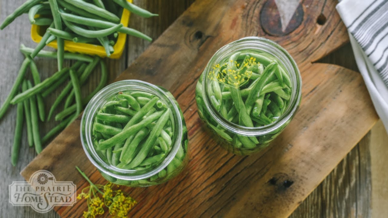 Pickled Green Beans Recipe (Lacto-Fermented) • The Prairie Homestead