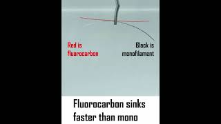 How To Recognize Fluorocarbon Fishing Line? Two Sure Ways! - Youtube