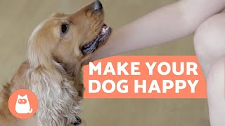 How To Make Your Dog Happier - 10 Key Tips - Youtube