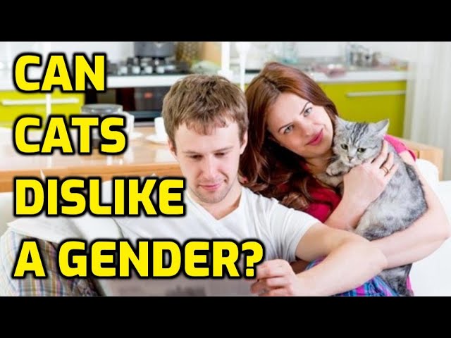 Do Cats Prefer Women Over Men? - Youtube