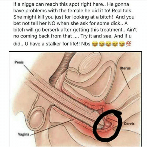 Nothing Sexier Than Painful Cervix 🤦‍♀️ : R/Badwomensanatomy