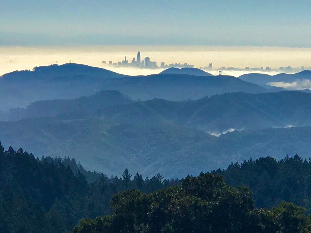 Ethereal View From Mt. Tam: Photo Of The Week | Mill Valley, Ca Patch